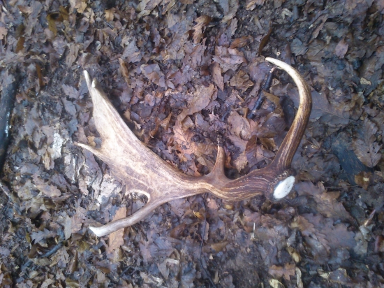 Celkom pekná lopatka :D