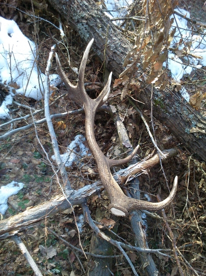 Môj zatiaľ najkrajší