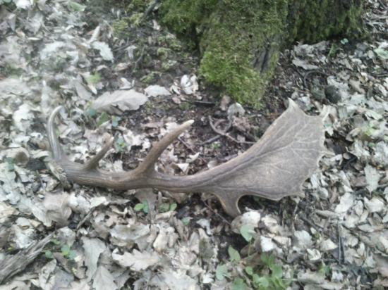 Z iného uhla pohľadu včerajšia lopata