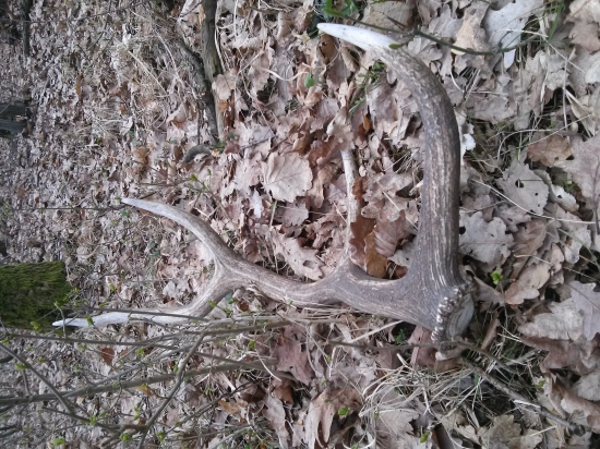 Dnešná prechádzka