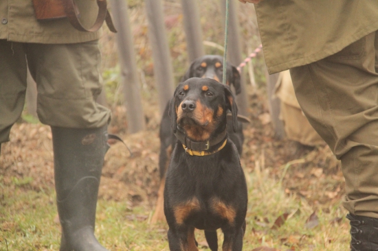 Kopovce si spravili svoju prácu