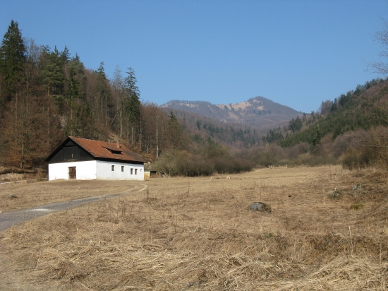 tuzina