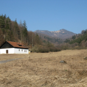 tuzina