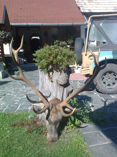 Moja minuloročná štvorka