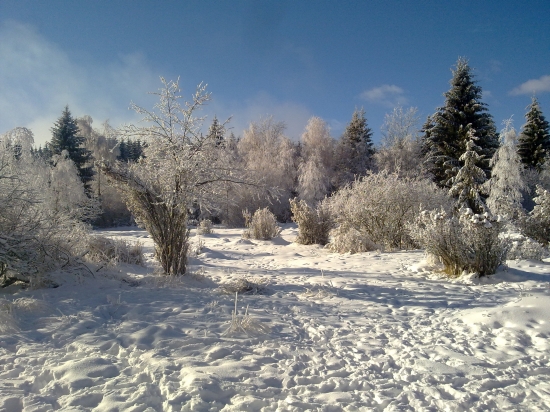zasnežená krajinka