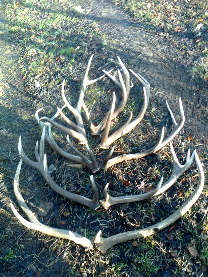 kamarátove za dva dni