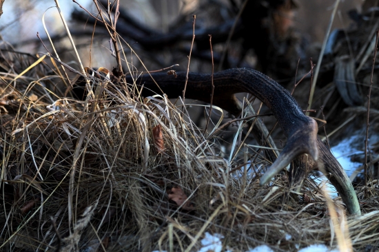 Poteší srdiečko :)