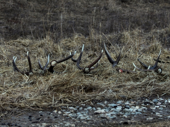 presne pred týždňom ...