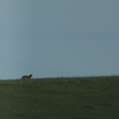 postrach revíru-dokument