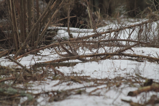 Troška som sa pomotal a hľa pár