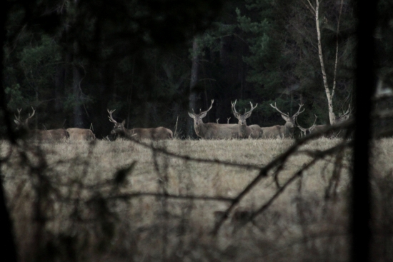 Dvaja s jedným, každý iný