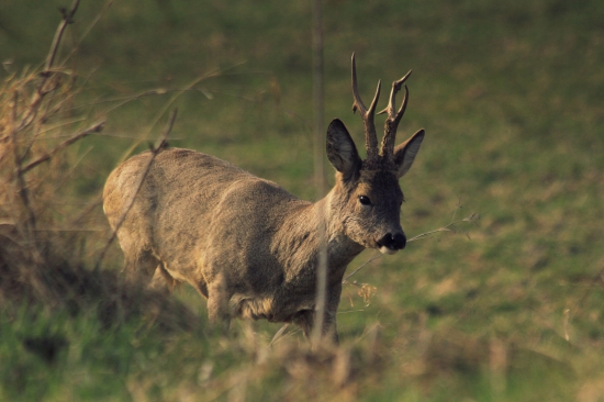 tentokrát to vyšlo ..