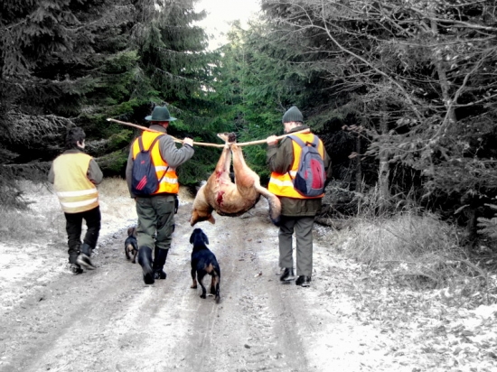Spokojná cesta z prvého pohonu :)