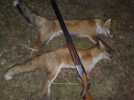 nedela ráno a pondelok večer