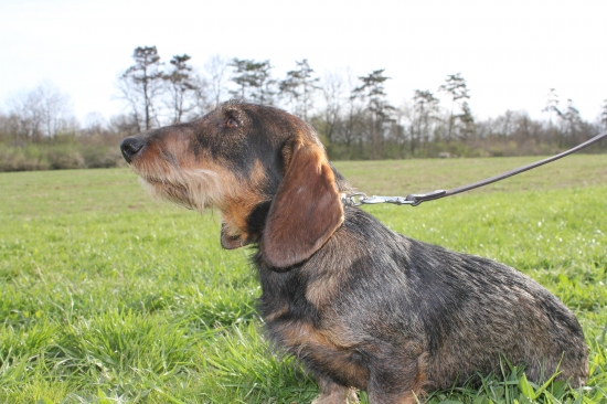 Jonáš Minas Ithilien