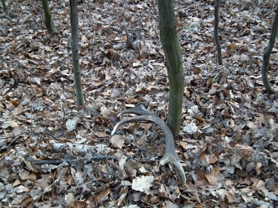 Párka nájdená mojou dcérkou