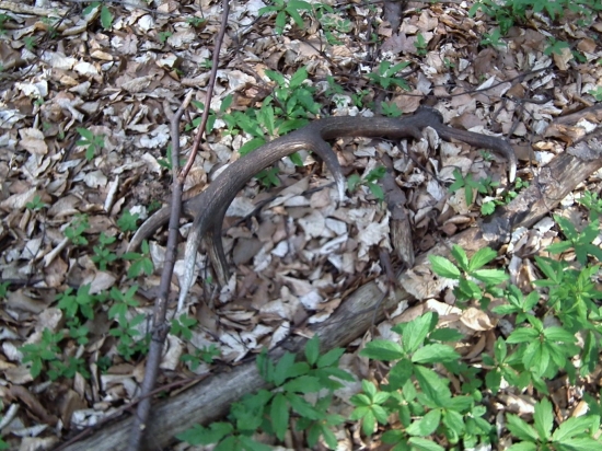 tento pohlad je najkrajší