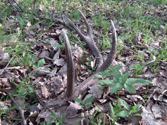 najvyšší čas sa zdvihnúť