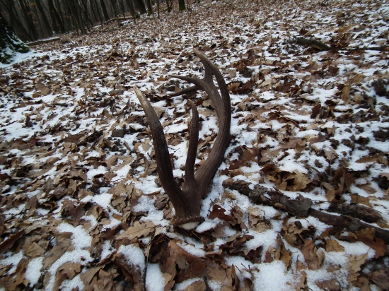 marcový z iného pohladu