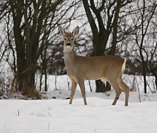 A ,len tak si tam stál.