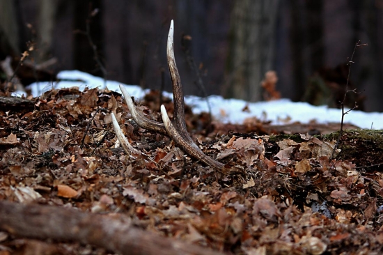 Keď vydá hora poklad.