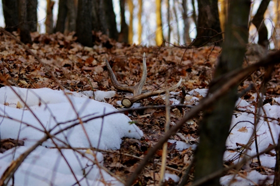 Na tento pohlad sa nezabúda.