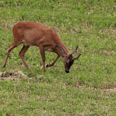Kamoš ďalej ani krok!:)