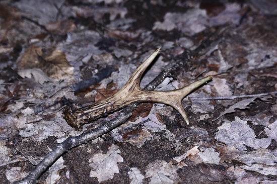 Keď nezaprší,aspoň kvapne:)