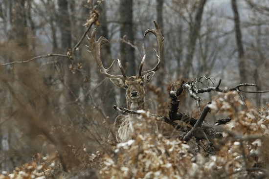 Moje prvé foto.......
