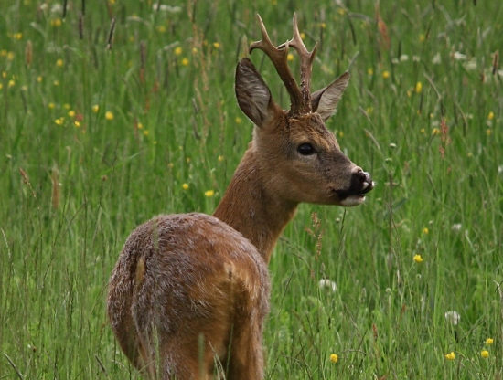Miláčik,ešte božtek:)
