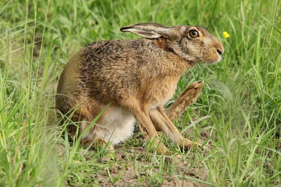 Trochu si posedím:)