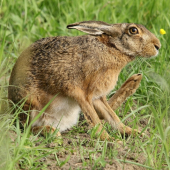 Trochu si posedím:)