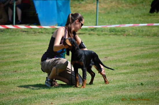 Zara Otis z Holubicke stráně - trieda šteniat - VN1