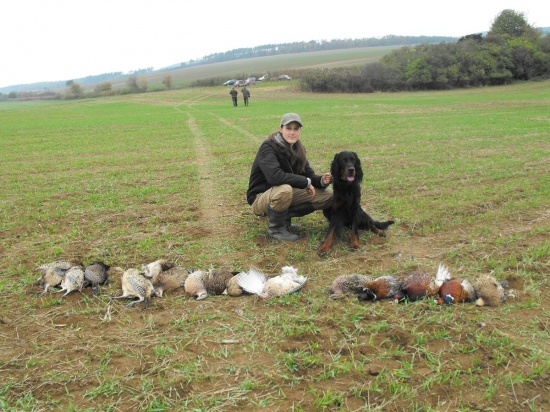 Otisove donášky z druhej leče