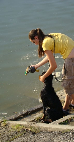 Zara trénuje prinášanie z vody