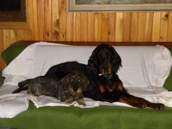 Zara Otis z Holubicke strane a Gira Monimyr