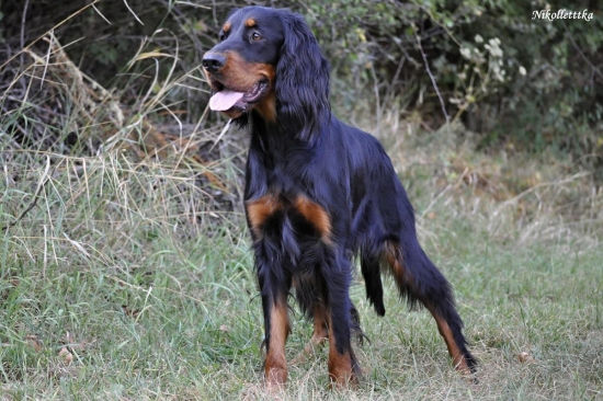 Xtreem z Holubicke strane