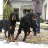 Dianka a Glen