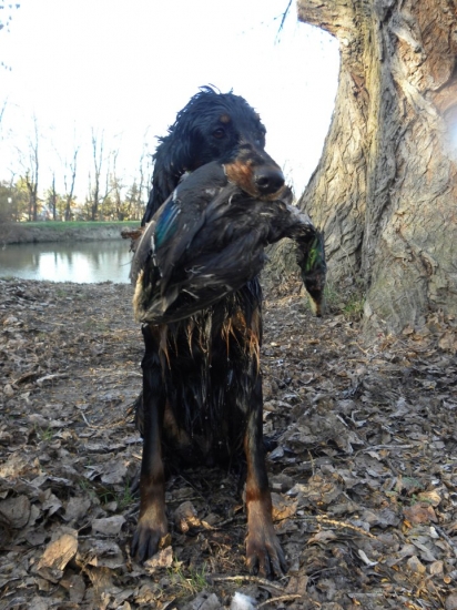 Zara a aport káčera