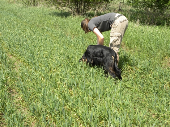 Zara a jej prva nepofarbena stopa