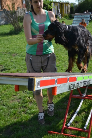 Zara a trošku agility