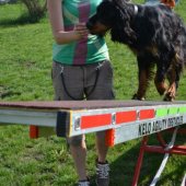 Zara a trošku agility