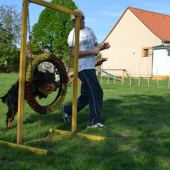 Zara a agility kruh