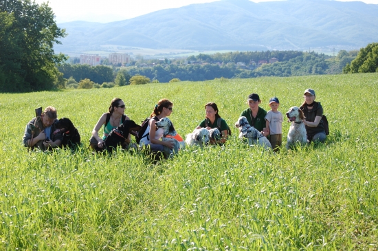 Stretnutie setrofilov