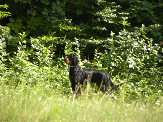 Zara Otis z Holubicke strane