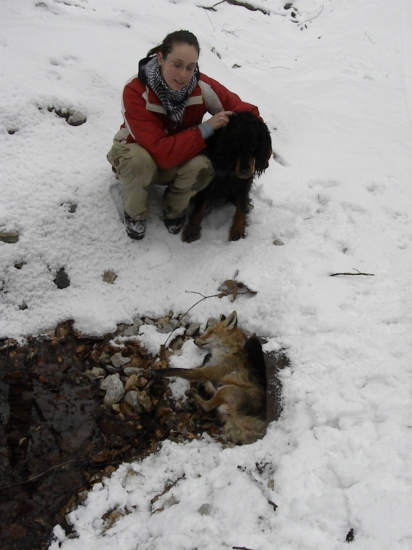Aj hľa! Stavač brlohár. Zara Otis z Holubicke strane