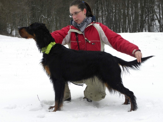 Zara v postoji - 2 roky