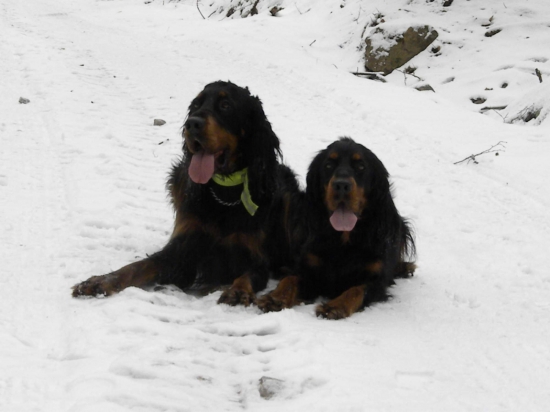 Ešte raz Zara a Didi