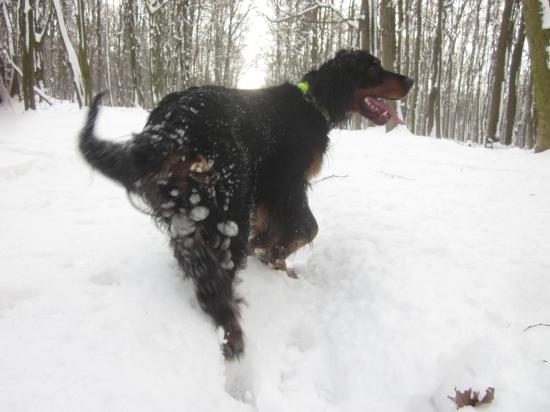 Vykračujem si lesom a je mi dobre.