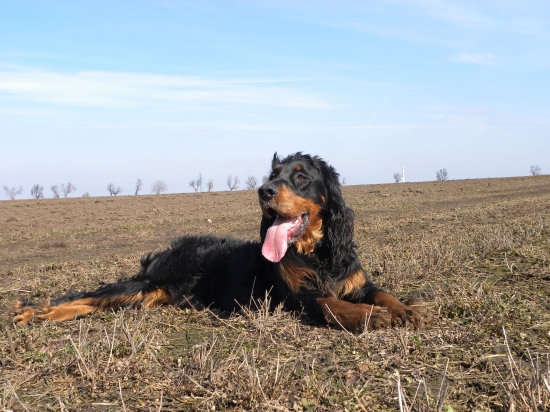 Zara a začiatok jari